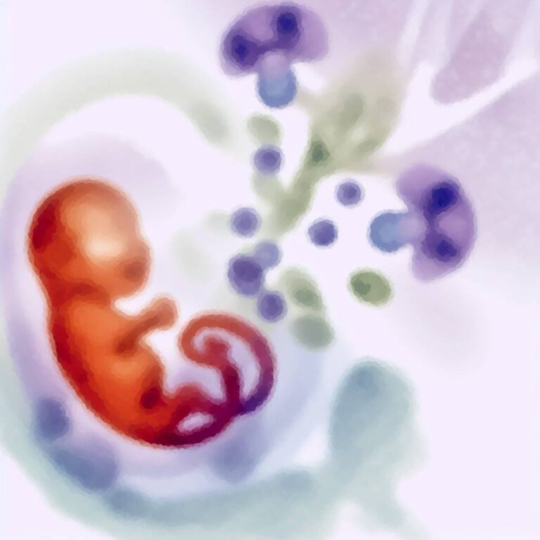 Journal de grossesse : un outil sous-estimé